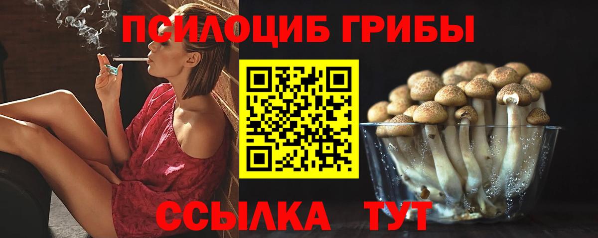 Галлюциногенные грибы MAGIC MUSHROOMS  Вход с VPN  Дзержинский 