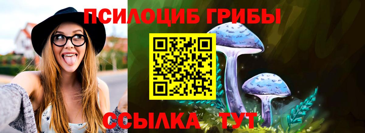 Псилоцибиновые грибы мицелий Дзержинский