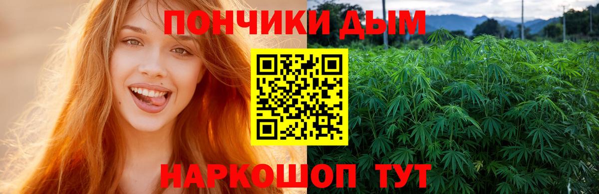 Шишки марихуана конопля  Конопля ГИДРОПОН  Дзержинский  Бошки Шишки план  Вход с VPN 